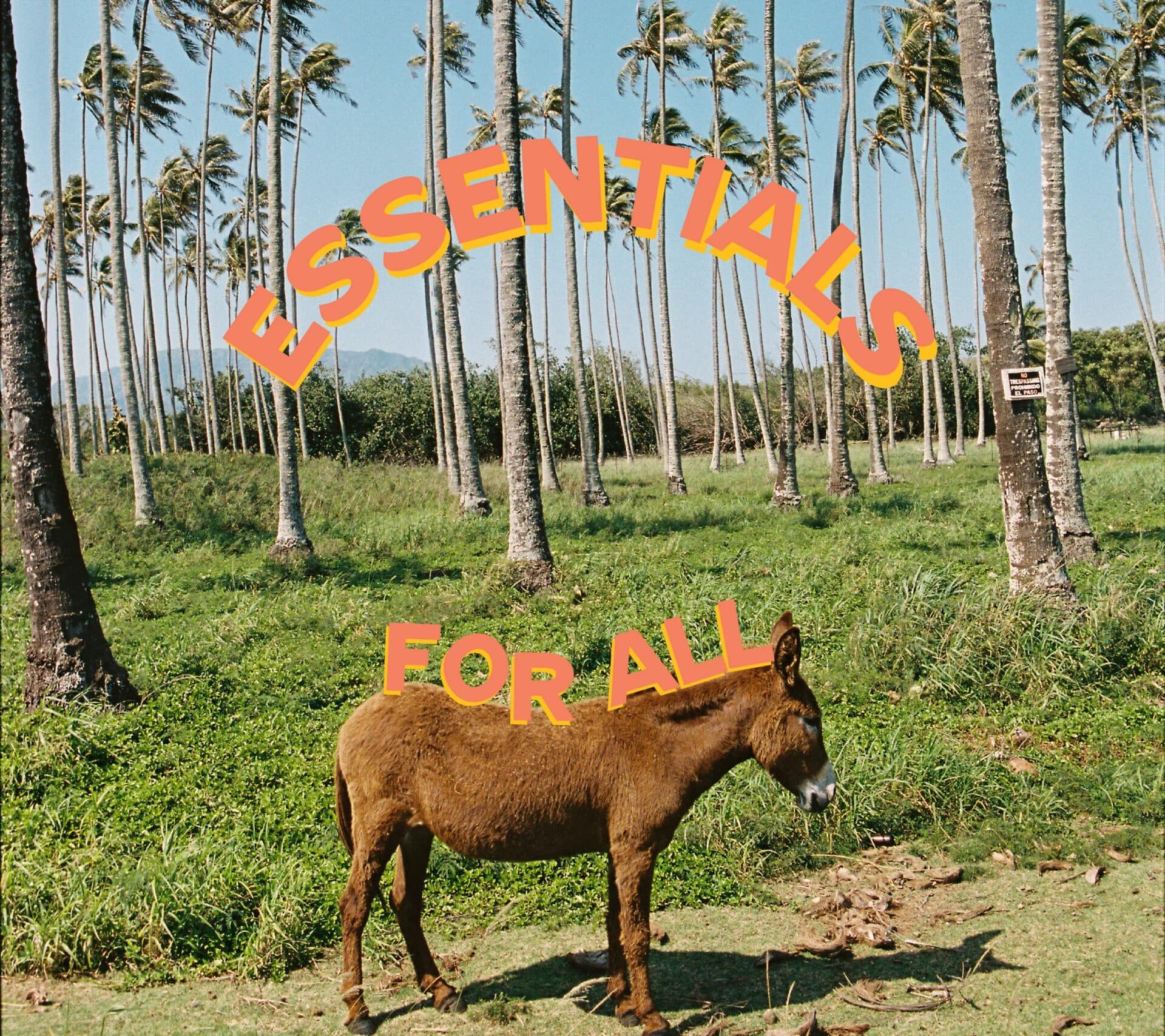 Accessories collection